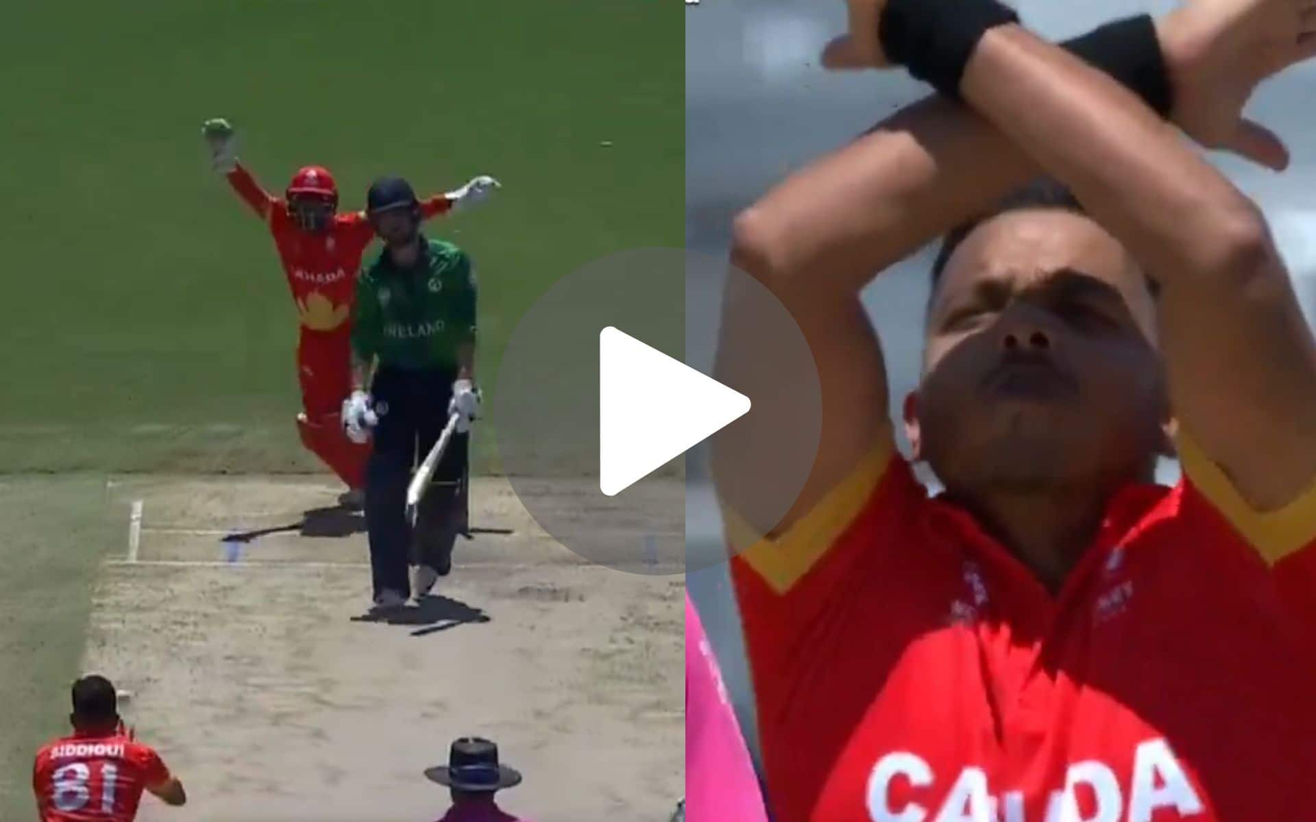 [Watch] You Don't Wanna Miss How Canadian Spinner Pulled Off Ronaldo-Like Celebration Vs Ireland